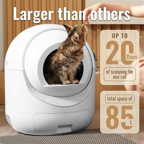Best automatic litter boxes 2023: Game changers for .